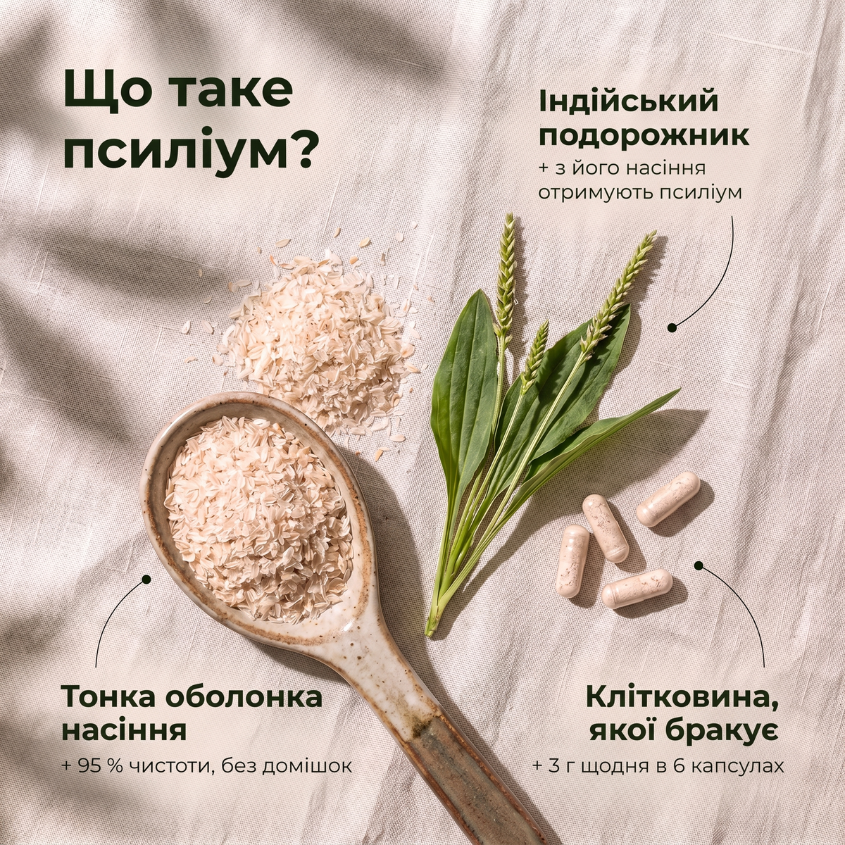 Що таке псиліум: індійський подорожник, тонка оболонка насіння 95 % чистоти, клітковина — 3 г щодня в 6 капсулах