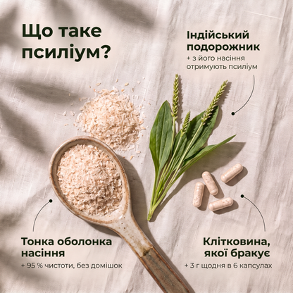 Що таке псиліум: індійський подорожник, тонка оболонка насіння 95 % чистоти, клітковина — 3 г щодня в 6 капсулах